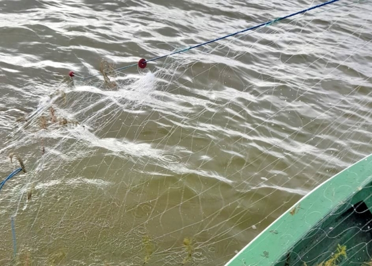 braconaj in vizorul politiei sanctiuni aplicate pe dunare la cernavoda 69bff26827648