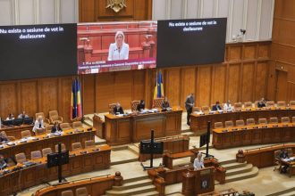 camera deputatilor a adoptat legea care defineste legal femicidul ce prevede aceasta 69c3ca30246c9