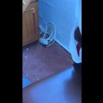 cjpc constanta verifica conditiile de cazare la un camin din zona strazii caraiman 69b8020aa04b6