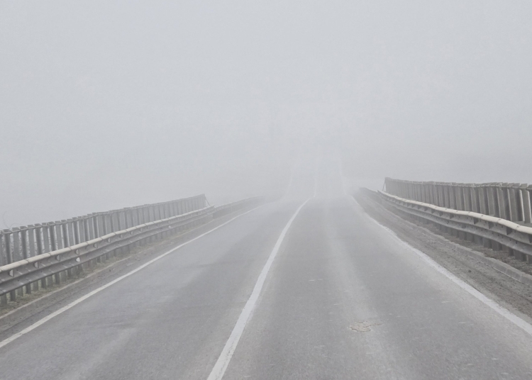 cod galben de ceata in judetele constanta si tulcea 69a56a4173b2b