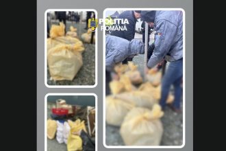 controale cu forte marite in constanta peste 600 kg de produse alimentare confiscate 69c910ea3b744