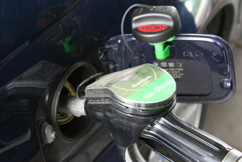 cresterea economica ar putea incetini in urma majorarii preturilor energiei analiza berd 69c5662dcc11b