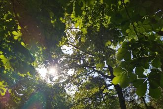 cum va fi vremea in primele zile din martie 69a40aa353de1