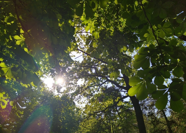 cum va fi vremea in primele zile din martie 69a40aa353de1