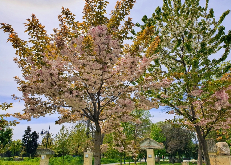 cum va fi vremea in urmatoarele patru saptamani primele estimari ale meteorologilor pentru paste 69b90dacbb27a