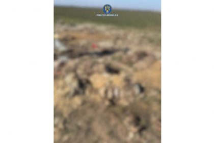 deseuri si resturi de animale abandonate pe raza localitatii lumina politistii au intocmit dosar penal 69b3ed9981de7