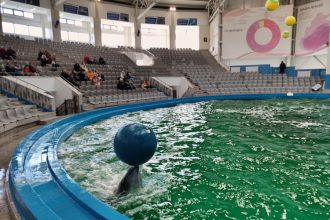 fara explicatii complexul muzeal de stiinte ale naturii nu mai primeste delfinii din malta 69bdfc1f42e5c