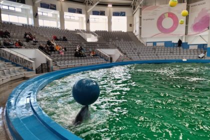 fara explicatii complexul muzeal de stiinte ale naturii nu mai primeste delfinii din malta 69bdfc1f42e5c