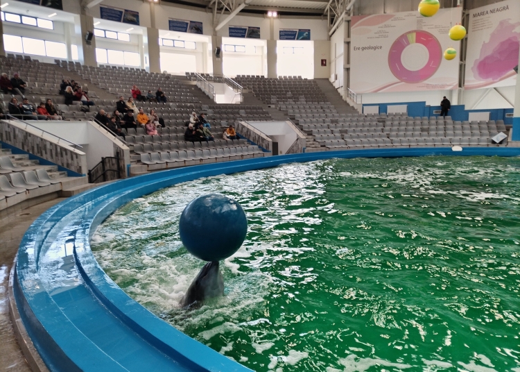 fara explicatii complexul muzeal de stiinte ale naturii nu mai primeste delfinii din malta 69bdfc1f42e5c