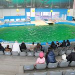 foto detinutii de la penitenciarul constanta poarta alba reuniti cu familiile de ziua mondiala a apei 69c0dd5ceeaa9