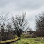 foto incredibil alesi locali din lumina cu sere si constructii ilegale pe un teren care nu le apartine e al comunei 69b9d92b6c0b1