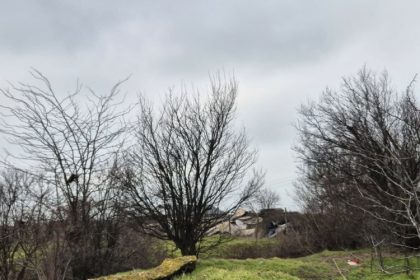 foto incredibil alesi locali din lumina cu sere si constructii ilegale pe un teren care nu le apartine e al comunei 69b9d92b6c0b1