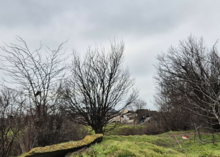 foto incredibil alesi locali din lumina cu sere si constructii ilegale pe un teren care nu le apartine e al comunei 69b9d92b6c0b1