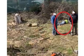 foto video interventie de urgenta pe santierul unde cambela prod amenajeaza o parcare un barbat gasit intins pe jos 69c7246582a01