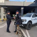 frontiera bunuri confiscate de aproximativ 1 377 000 lei in ultimele 24 de ore 69ad373443bce