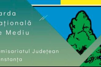 garda de mediu constanta apel la responsabilitate gesturi simple impact major 69ba90754884c