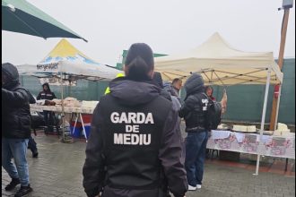 garda de mediu constanta in control in zona targului de vechituri varianta ovidiu 69c92539666ce