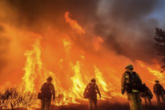 incendii devastatoare in prahova o femeie de 85 de ani si a pierdut viata iar doua locuinte au fost distruse in cursul noptii 69b90694c8d40