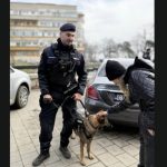 jandarmii din constanta peste 150 de misiuni si 130 de sanctiuni aplicate in primele doua saptamani din martie 69b80c46e9a3e