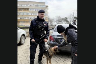 jandarmii din constanta peste 150 de misiuni si 130 de sanctiuni aplicate in primele doua saptamani din martie 69b80c46e9a3e