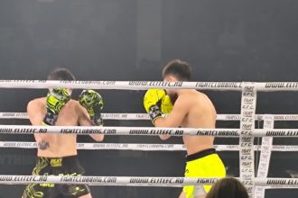 lacrimi si aplauze la malul marii elite fighting championship readuce marile confruntari la constanta 69c73faedb339