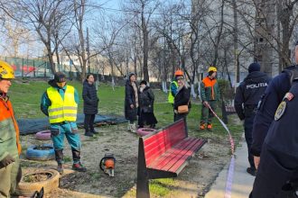 ministra mediului diana buzoianu reactioneaza dupa protestul din zona abator se verifica cazul 69b7c30301cd8