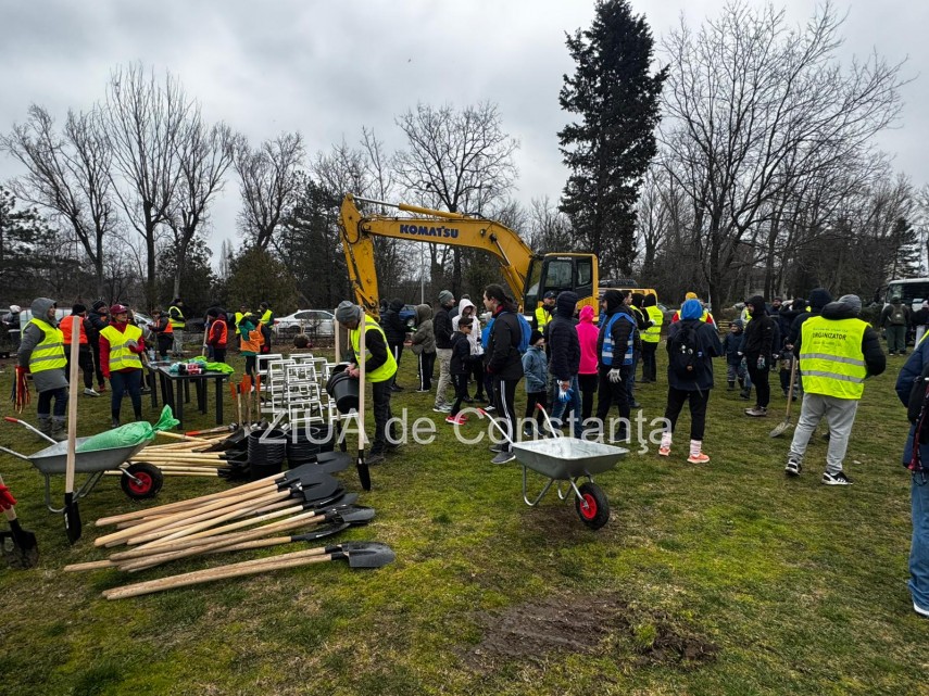 noi copaci plantati la palatul copiilor constanta catalin filisan nu ne sperie vremea avem nevoie de apa la plantare 69be5a28d3237