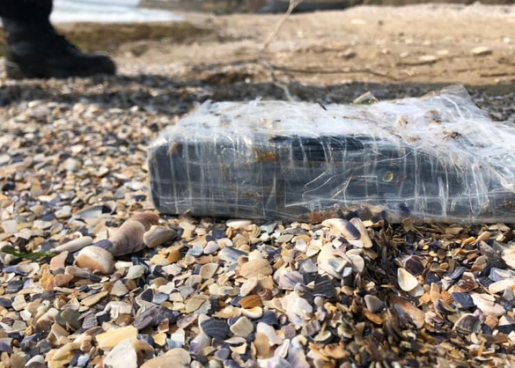 noi detalii din dosarul cocaina de pe plaja coordonata de sheik unul dintre cei mai mari traficanti din america de sud legaturi cu pensiuni din delta 69bbb7934bf57