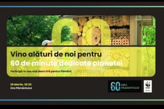 ora pamantului 2026 arbdd se alatura evenimentului global de mediu 69c79f34ee81a