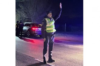 peste 100 de autovehicule oprite in trafic in zona mangalia vama veche in cadrul unei razii a politistilor 69ad41855bff9