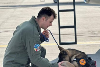 pierdere grea pentru aviatia militara erou pana in ultima clipa un pilot militar roman a murit incercand sa salveze un caine 69b0a5fd249ca