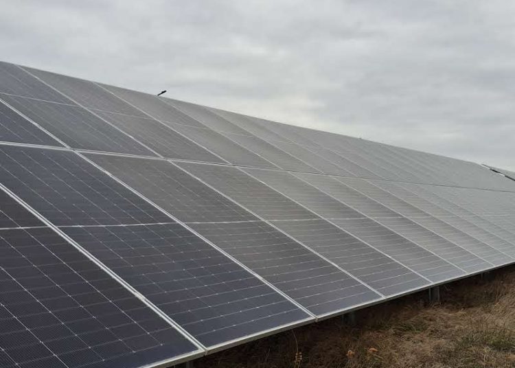 poarta alba face pasul spre energie verde primaria lanseaza licitatia pentru parcul fotovoltaic 69b9ff3dd2cdd