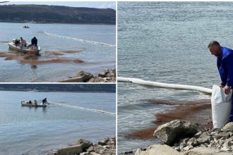 poluare pe dunare la turnu magurele dupa scufundarea unei nave 69c54d88d9dd6