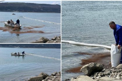 poluare pe dunare la turnu magurele dupa scufundarea unei nave 69c54d88d9dd6