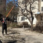 primaria constanta ample lucrari de igienizare a spatiilor verzi din diferite zone ale orasului 69aeb9ce7aeb4