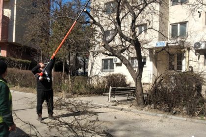 primaria constanta ample lucrari de igienizare a spatiilor verzi din diferite zone ale orasului 69aeb9ce7aeb4