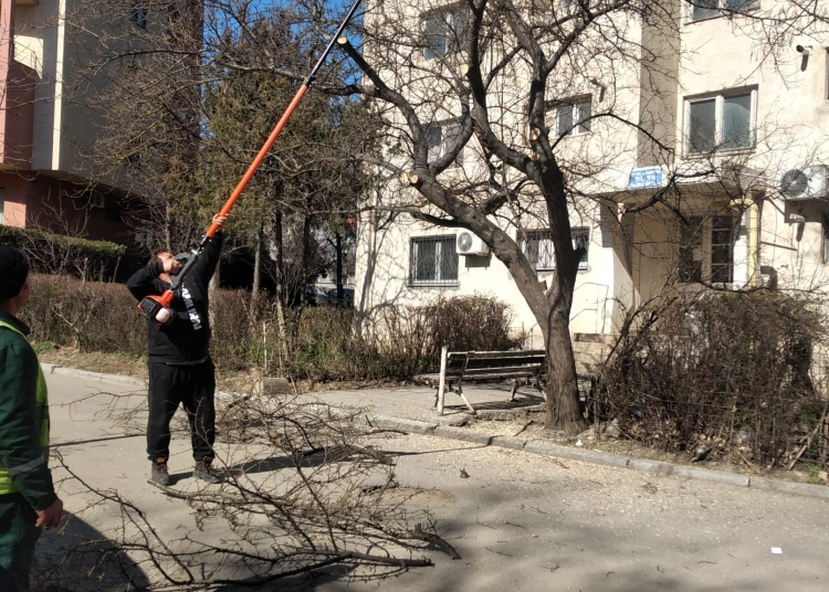 primaria constanta ample lucrari de igienizare a spatiilor verzi din diferite zone ale orasului 69aeb9ce7aeb4