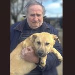 primaria constanta continua campania adopta un catel peste 400 de caini asteapta o familie care sa le ofere sansa la un camin 69b12af901f55