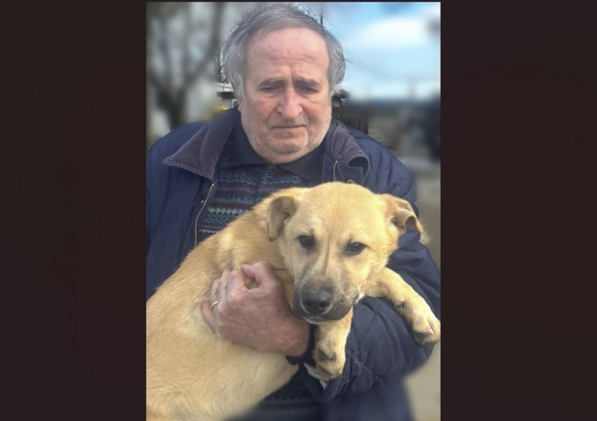 primaria constanta continua campania adopta un catel peste 400 de caini asteapta o familie care sa le ofere sansa la un camin 69b12af901f55