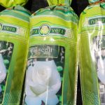 primaria constanta da startul campaniei de primavara peste 20 000 de plante vor infrumuseta orasul 69bc00c27216b