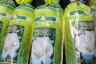 primaria constanta da startul campaniei de primavara peste 20 000 de plante vor infrumuseta orasul 69bc00c27216b