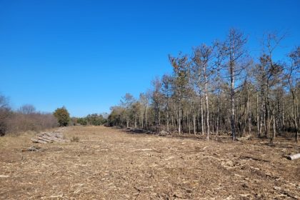 proces la final pentru o bucata din padurea comorova unde o firma vrea sa construiasca locuri de cazare 69b914e4d92c6