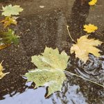 prognoza meteo pentru urmatoarele patru saptamani cum va fi vremea pana la final de aprilie 69c63591b6849