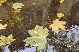 prognoza meteo pentru urmatoarele patru saptamani cum va fi vremea pana la final de aprilie 69c63591b6849