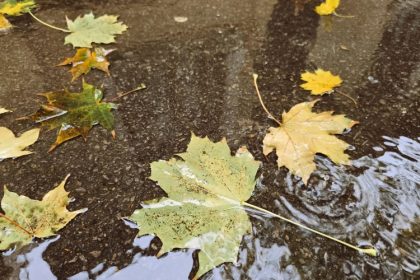 prognoza meteo pentru urmatoarele patru saptamani cum va fi vremea pana la final de aprilie 69c63591b6849