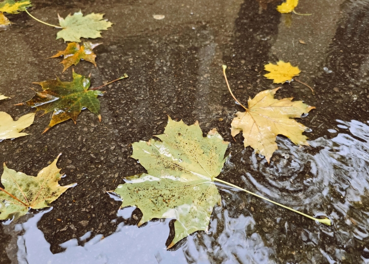 prognoza meteo pentru urmatoarele patru saptamani cum va fi vremea pana la final de aprilie 69c63591b6849