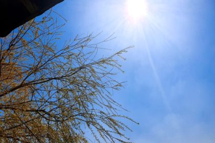 prognoza pe doua saptamani pentru dobrogea temperaturi de primavara dar cu nopti reci si posibile ploi 69aeb2f23a0c6