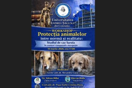 protectia animalelor intre norma si realitate studiul de caz suraia in context comparativ european la universitatea andrei saguna 69ab0ba89fe20