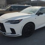 samsarul dumitru georgescu cel care tragea tepe cu masini din germania condamnat in cel de al doilea dosar ce pedeapsa a primit 69caa8666b829