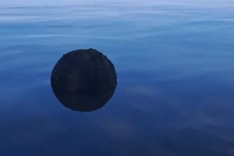 scandal intre romania si rusia din cauza minelor aflate in deriva in marea neagra 69c658b3bec8e